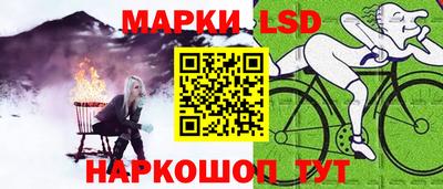 гидропоника Будённовск