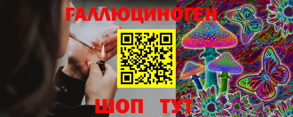 Псилоцибиновые грибы Psilocybe Озёрск