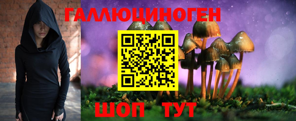 Озёрск  Псилоцибиновые грибы Psilocybe  Галлюциногенные грибы ЛСД  Вход с VPN 